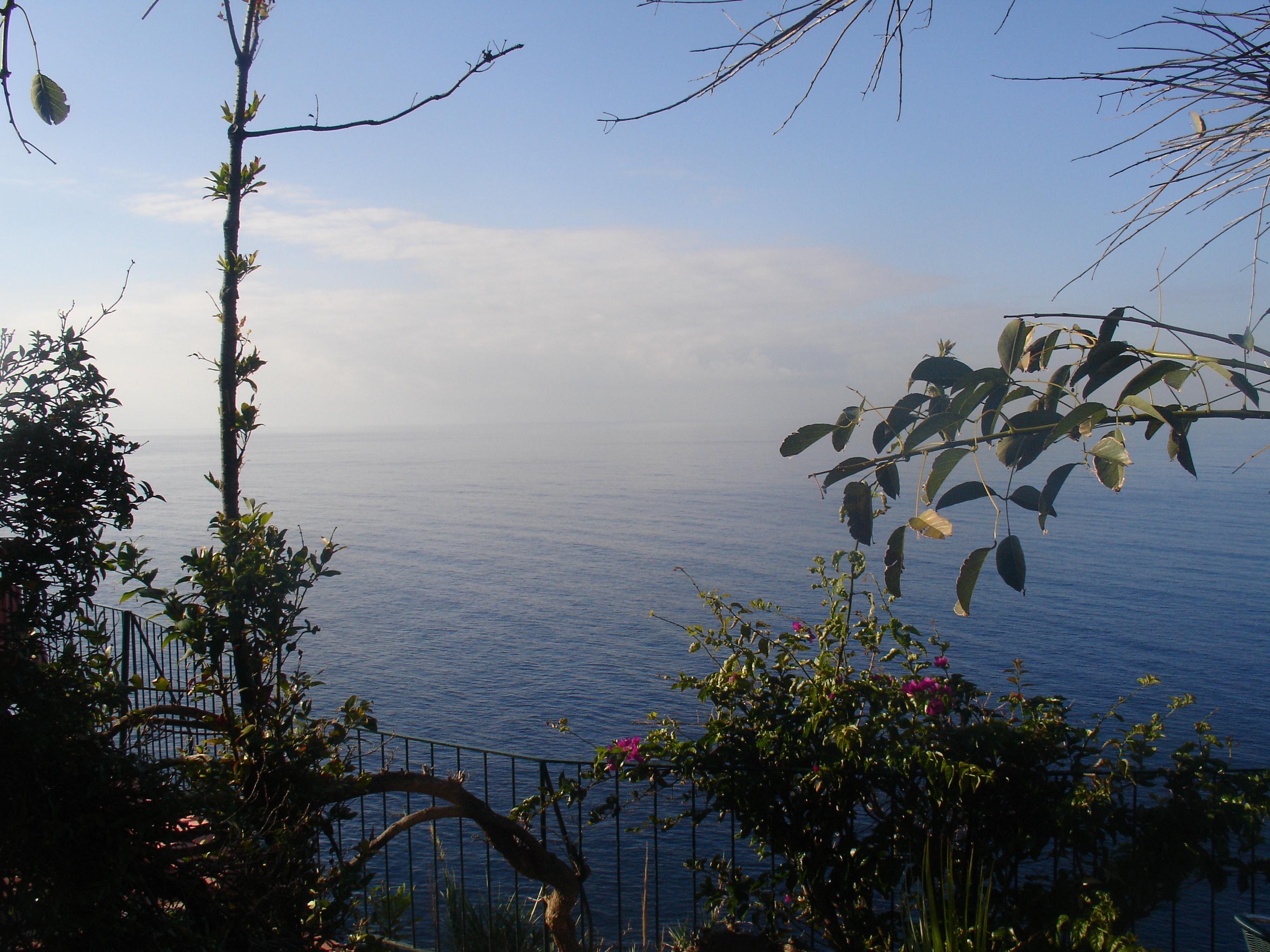 Inn & Art Madeira Канису Экстерьер фото